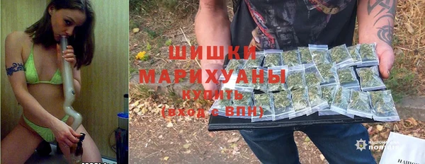 хмурый Бронницы