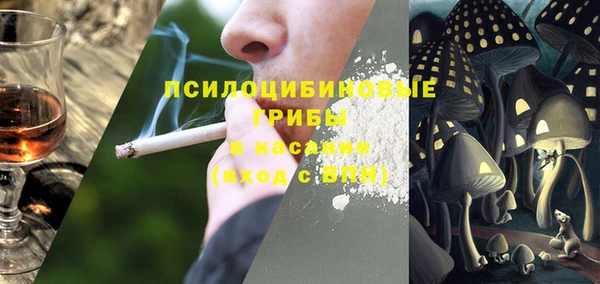 хмурый Бронницы
